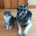 Carol-Anne Brown - Facebook