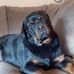 Carole Abbott - Facebook