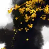 caroleadeloresp - @caroleadeloresp - TikTok