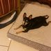 Carole Akin - Facebook