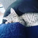 carole.alberti - @carole.alberti - Instagram