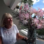 Carole Allen - @caroleallen47 - Instagram