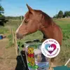 caroleallen639 - @caroleallen639 - TikTok
