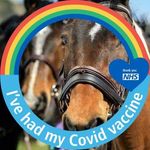 Carol Eames - @carol_eames323 - Instagram
