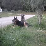 Carole Amore - Facebook