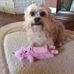 Carole M. Applegate - Facebook