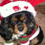 Carole Bailey - @carole.bailey51 - Instagram