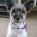 Carole Baker - Facebook