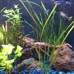 Carole Baker - @carole8381 - Instagram
