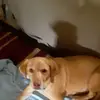 Carole Baker - @carole.baker0 - TikTok