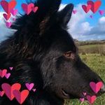 Carole Baker - @carole.baker.374 - Instagram