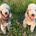 Carole Baker - @carolebaker701 - Instagram