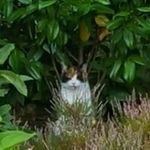 Carole Baker - @carole.baker.7509 - Instagram