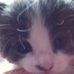 Carole Barlow - Facebook