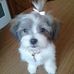 Carole Barlow - Facebook