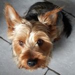 Carole Bates - @carole.bates.773 - Instagram