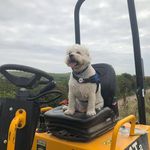 Carole Bates - @carolebates1 - Instagram