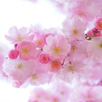 Carole Bourne - Facebook