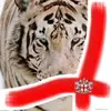 carolebourne2121 - @carolebourne2121 - TikTok