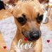 Carole Cairns - Facebook