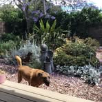 Carole Cox - Facebook