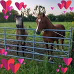 Carole Cox - Facebook