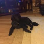 Carole Crist - @rcorrigan44 - Instagram
