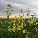 Carole Daly Photography - @caroledalyphotography - Instagram