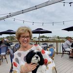 Carole Mele Devine - @carole_mele_devine_____600 - Instagram