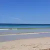 caroledevine331 - @caroledevine331 - TikTok