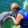 Carole Devos - @carole.devos - TikTok