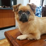 Carole Dickson - @flutedickson - Instagram