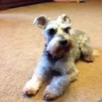 Carole Doherty - @caroleandzoey - Instagram