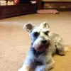 Carole Doherty - @carole.doherty0 - TikTok