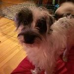 Carole Dolan - @carole_dolan - Instagram