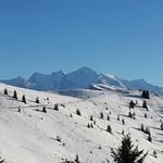 Carole Donner - @donnercarole - Instagram