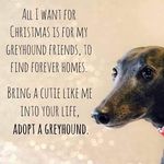 Carole Doyle - @rethink.carole - Instagram