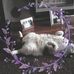 Carole Duff - Facebook