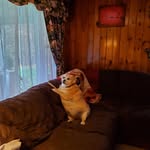 Carole Eddy Sutliff - @caroleeddysutliff - Instagram