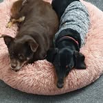 Carole Eddyshaw - @caroleeddyshaw - Instagram