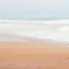 user35374462259 - @carolereddy - TikTok