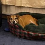Carole Edmondson - @caroleedmondson - Instagram