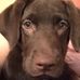 Carole Edwards - Facebook