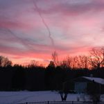 Carole Edwards - @carole.edwards.96155 - Instagram