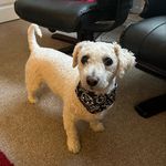 Carole Edwards - @carole.edwards.75 - Instagram