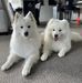 Carole Edwards - Facebook