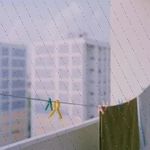 Laronda Kastl - @caroleegger347 - Instagram