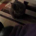 Carole Evans - @carole.evans.9237 - Instagram