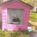 Carole Evans - Facebook