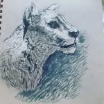 Carole Freeman - @carolefreeman852 - Instagram